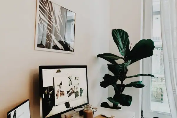 Foto #9 Appartement Sumatrastraat Amsterdam