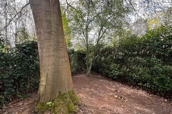 Foto #49 Studio Frederik Hendrikstraat Waalre