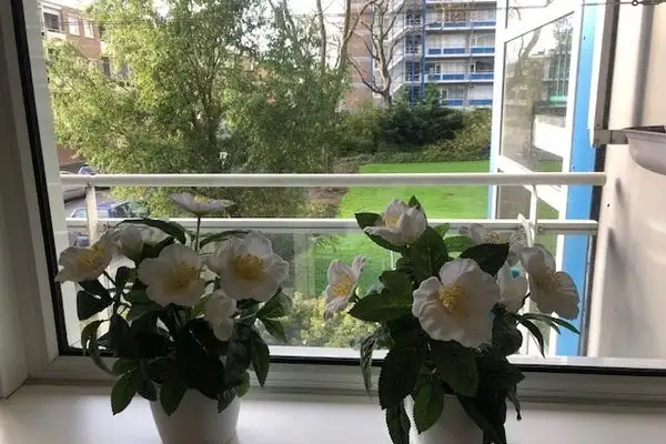 Foto #22 Appartement Burgemeester Hazenberglaan Rotterdam