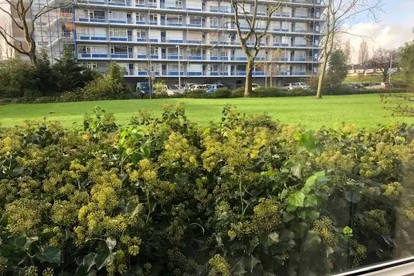 Foto #43 Appartement Burgemeester Hazenberglaan Rotterdam