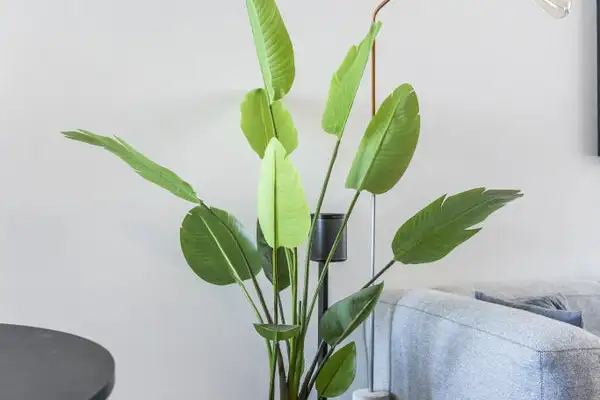 Foto #15 Appartement Rustenburgerstraat Amsterdam