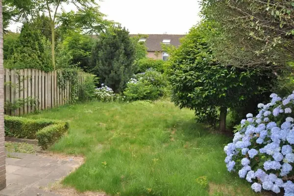 Foto #6 Huurwoning Finistèrelaan Eindhoven