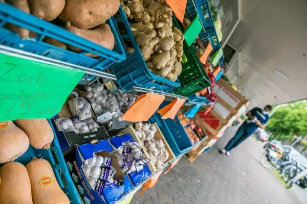 Foto #10 Appartement Jan Heynslaan Eindhoven