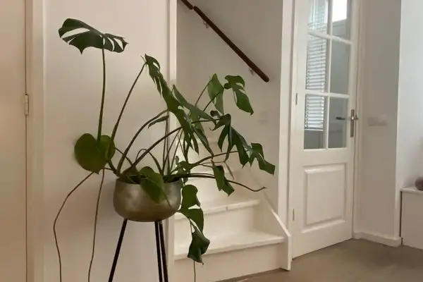 Foto #8 Huurwoning Stationsstraat Zandvoort