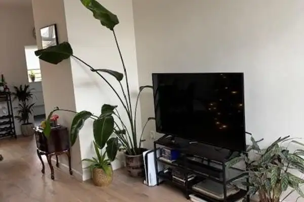 Foto #5 Huurwoning Wilhelminastraat Krommenie