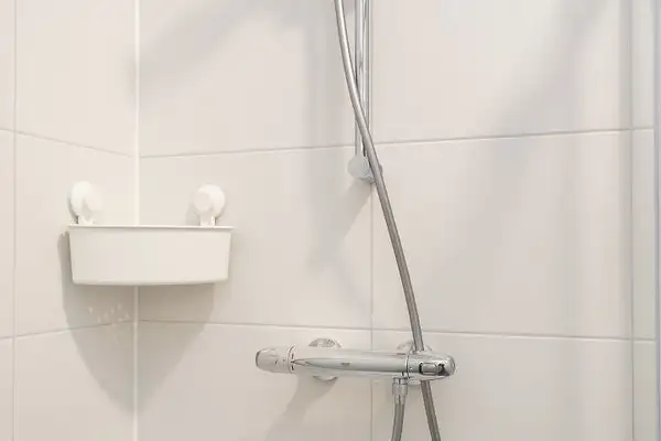 Foto #15 Appartement Goirkestraat Tilburg