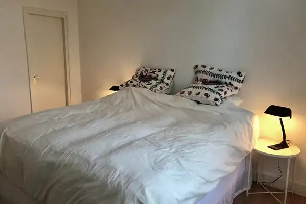 Foto #5 Appartement Professor Pieter Willemsstraat Maastricht