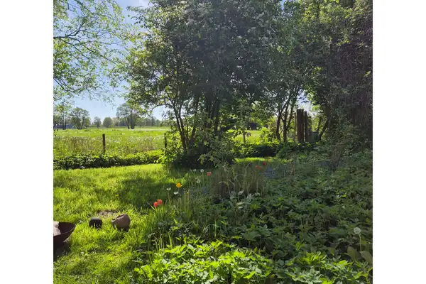 Foto #0 Kamer Zutphensestraat Brummen