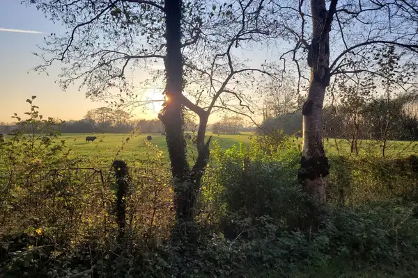 Foto #6 Kamer Zutphensestraat Brummen