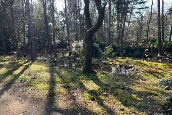 Foto #12 Huurwoning Postweg Holten