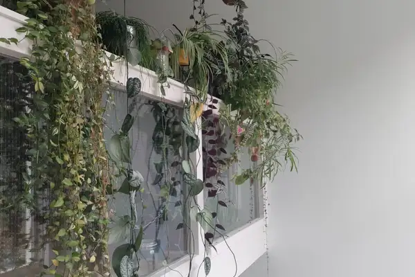 Foto #1 Huurwoning Adriaan Menninckkwartier Utrecht