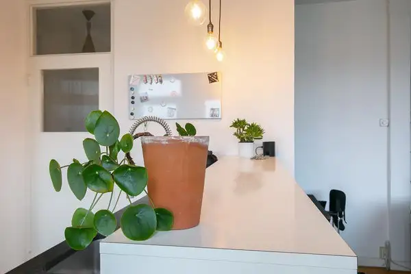 Foto #17 Appartement Nicolaas Ruyschstraat Rotterdam