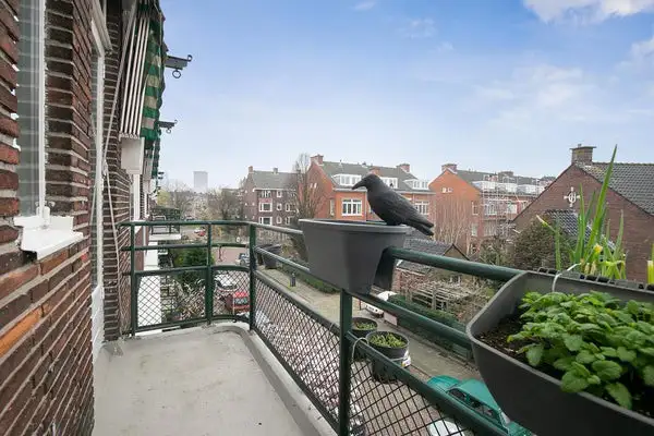 Foto #29 Appartement Nicolaas Ruyschstraat Rotterdam