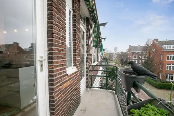 Foto #28 Appartement Nicolaas Ruyschstraat Rotterdam