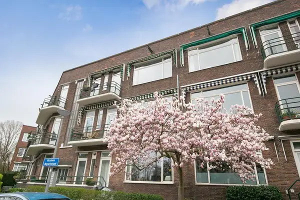 Foto #36 Appartement Nicolaas Ruyschstraat Rotterdam