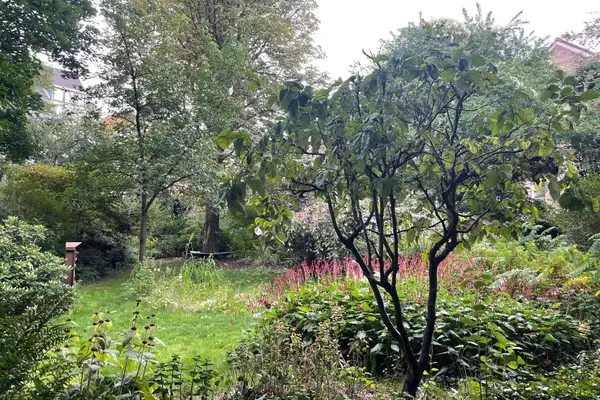 Foto #18 Appartement Schoolstraat Arnhem