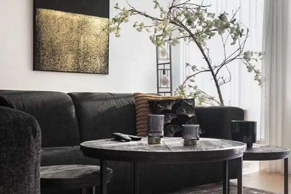 Foto #4 Appartement Herculeslaan Utrecht