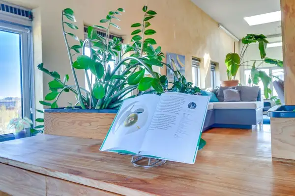 Foto #16 Appartement Rietlandpark Amsterdam