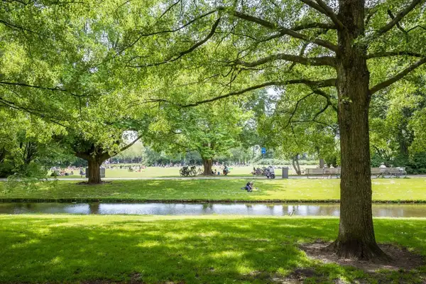 Foto #15 Appartement Nolensstraat Rotterdam