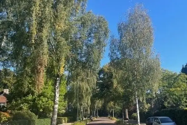 Foto #21 Huurwoning Frankenlaan Apeldoorn