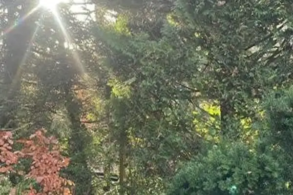 Foto #20 Huurwoning Frankenlaan Apeldoorn