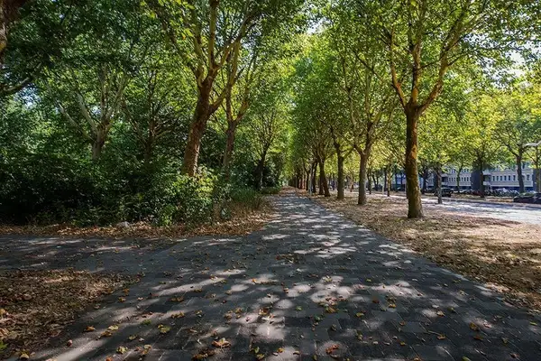 Foto #12 Appartement Van Nijenrodeweg Amsterdam