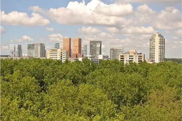 Foto #11 Appartement Van Nijenrodeweg Amsterdam