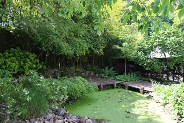 Foto #60 Huurwoning Lage Kanaaldijk Maastricht