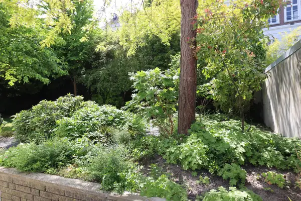 Foto #57 Huurwoning Lage Kanaaldijk Maastricht