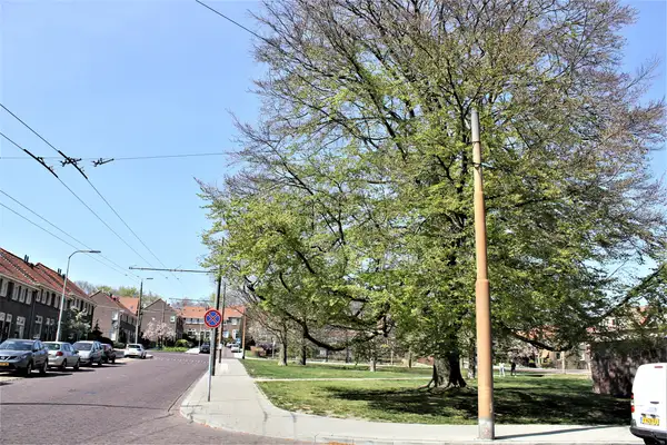 Foto #1 Kamer Schuttersbergplein Arnhem