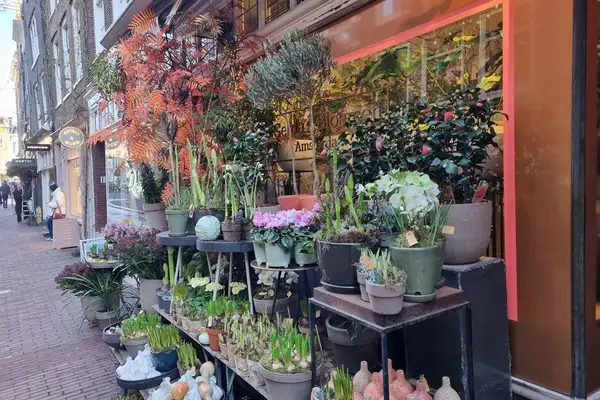 Foto #49 Appartement Runstraat Amsterdam