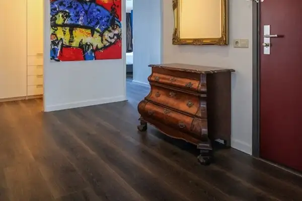 Foto #8 Appartement Pieter de Hoochstraat Amsterdam