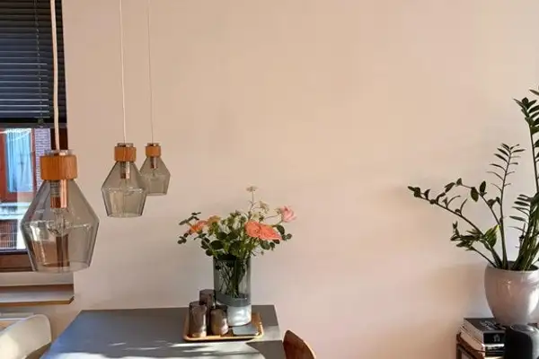 Foto #5 Appartement D.L. Hudigstraat Amsterdam