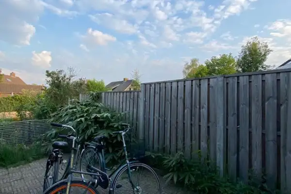 Foto #7 Kamer Meibeek Tilburg