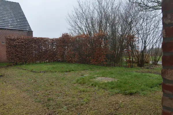 Foto #14 Huurwoning Paandijksestraat Rijsbergen