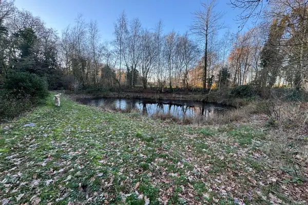 Foto #34 Huurwoning Voorstukken Westervelde