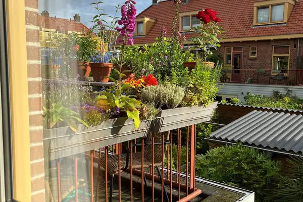 Foto #11 Appartement Oleanderstraat Amsterdam