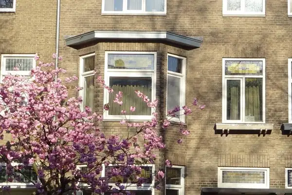 Foto #0 Appartement Koning Clovisstraat Maastricht