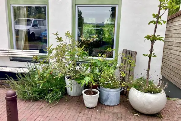 Foto #30 Huurwoning Schellingwouderdijk Amsterdam