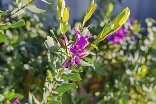 Foto #15 Appartement Westerdijk Utrecht