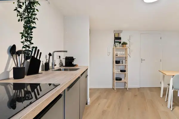 Foto #4 Appartement Rosmolenplein Tilburg