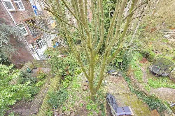 Foto #20 Appartement Beukelsweg Rotterdam