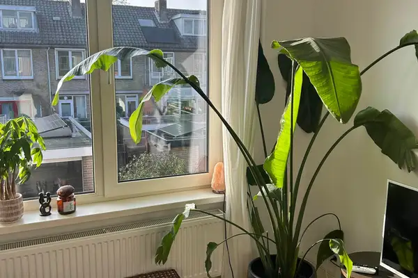 Foto #2 Appartement Manus Peetstraat Amstelveen