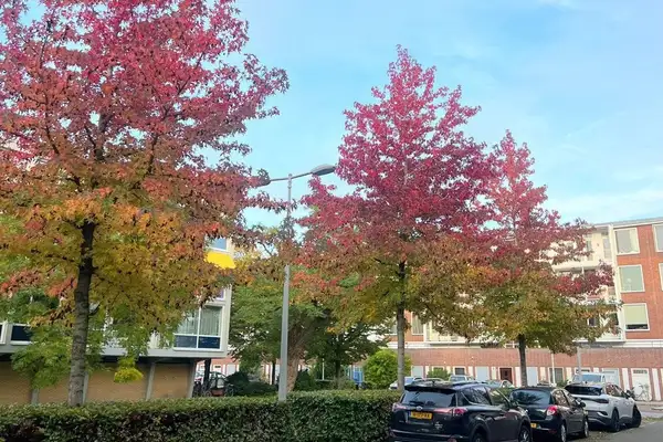 Foto #39 Appartement Dirk Schäferstraat Amsterdam