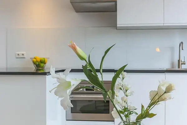 Foto #8 Appartement Damsterdiep Groningen