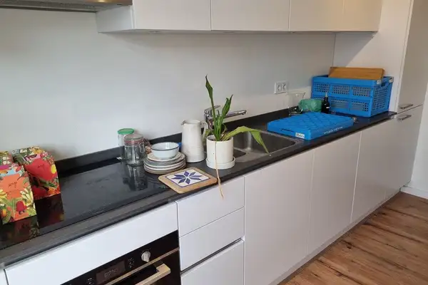 Foto #9 Appartement Beethovenstraat Amsterdam