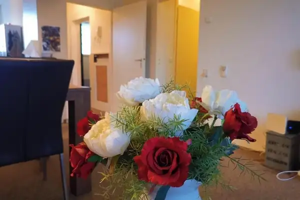 Foto #4 Appartement Eisenhowerstraat Sittard