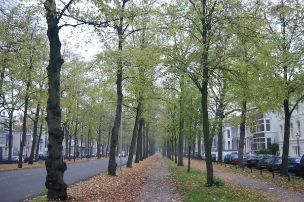 Foto #2 Appartement Maliebaan Utrecht