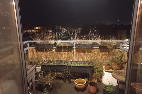 Foto #4 Appartement Peter Vineloolaan Bergen op Zoom