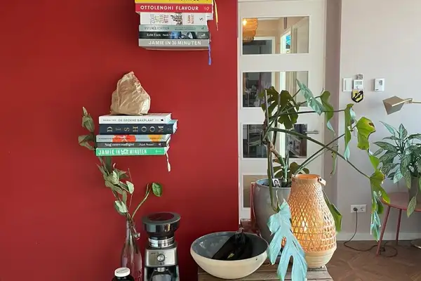 Foto #7 Appartement Maashavenweg Rotterdam